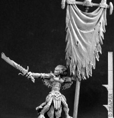 Warlords: Darkspawn Standard Bearer Blister Packet