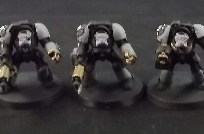 Space Marines: Terminators x5 (Painted)