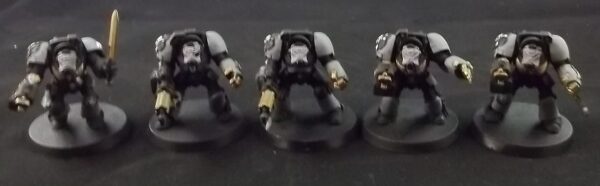 Space Marines: Terminators x5 (Painted)