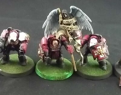 Space Marines: Terminators x5 (Painted)