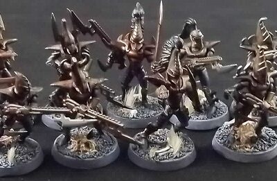Dark Eldar: Warriors x10 (Painted)