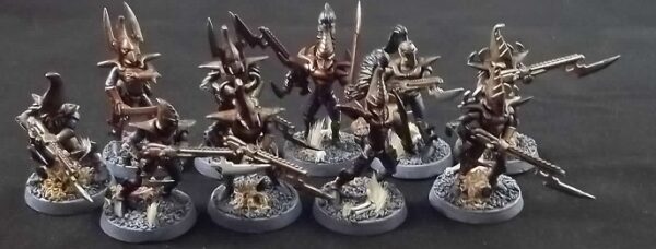 Dark Eldar: Warriors x10 (Painted)