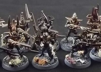 Dark Eldar: Warriors x10 (Painted)