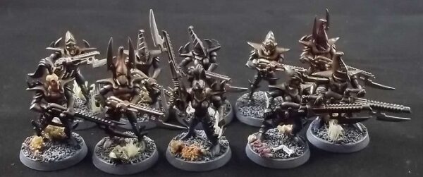 Dark Eldar: Warriors x10 (Painted)