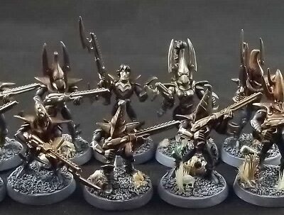 Dark Eldar: Warriors x10 (Painted)