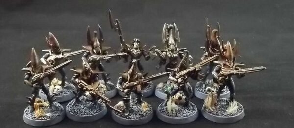 Dark Eldar: Warriors x10 (Painted)