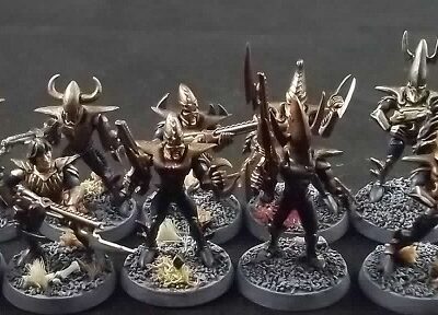 Dark Eldar: Warriors x10 (Painted)