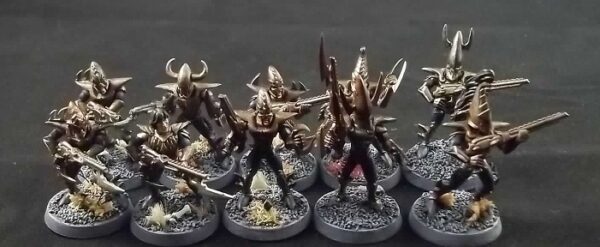 Dark Eldar: Warriors x10 (Painted)