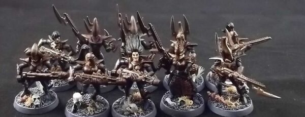 Dark Eldar: Warriors x10 (Painted)