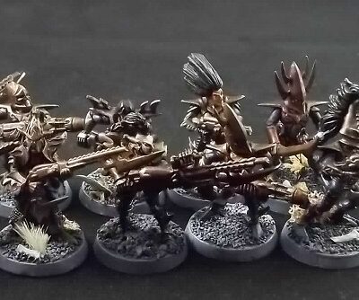 Dark Eldar: Warriors x10 (Painted)