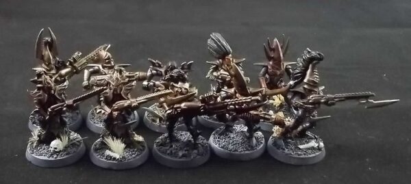 Dark Eldar: Warriors x10 (Painted)