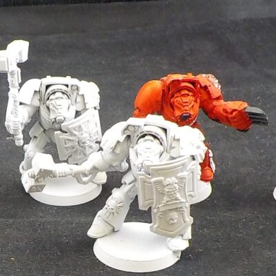 Space Marines: Terminators x5 (Painted)