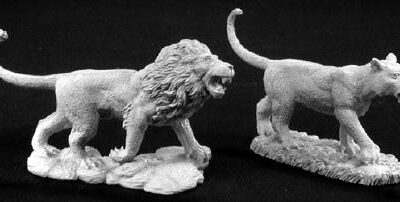 P65: Lions (2) Blister Packet