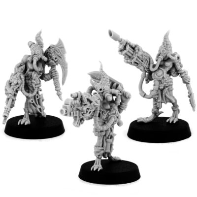 WE: Chaos Plague Walkers