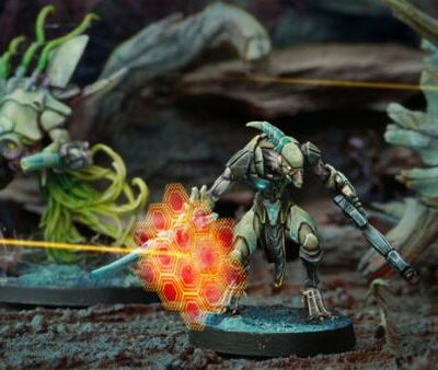Combined Army: Shasvastii Gwailos (Boarding Shot