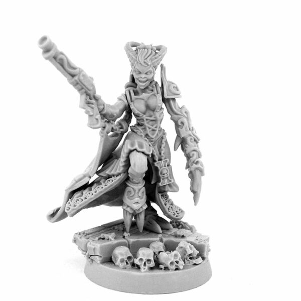 WE: Heresy Hunters Daemonette Inquisitor Contracted Mercenary