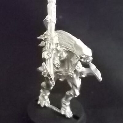 Tau Empire: Kroot Shaper (Loose)