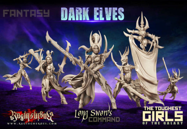 Raging Heroes: Long Swords - Command Group