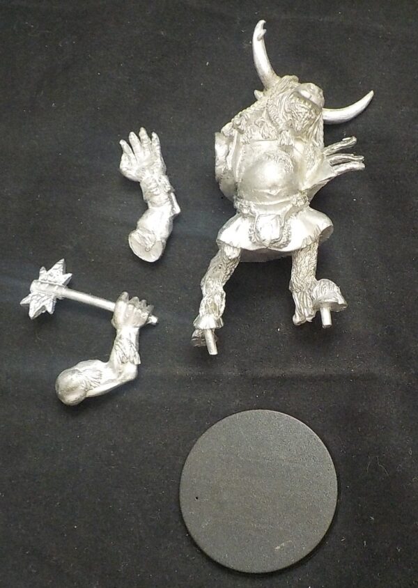 Other: Beastmen with Axe