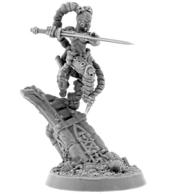 WE: Imperial Polymorph Assassin