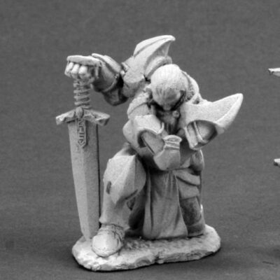 DHL: Praying Paladin Blister Packet