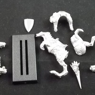 Dark Elves: Cold one Knight Standard Bearer (Loose)