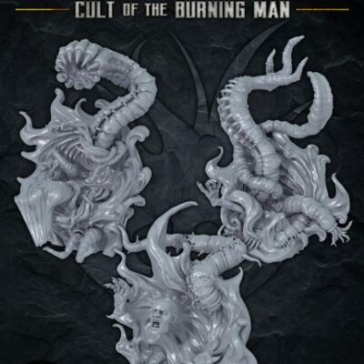 The Other Side: (Cult of the Burning Man): Stalking Portals