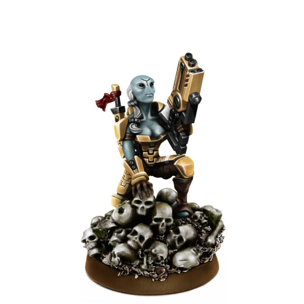 WE: Greater Good Tau Kais'la the Gamer
