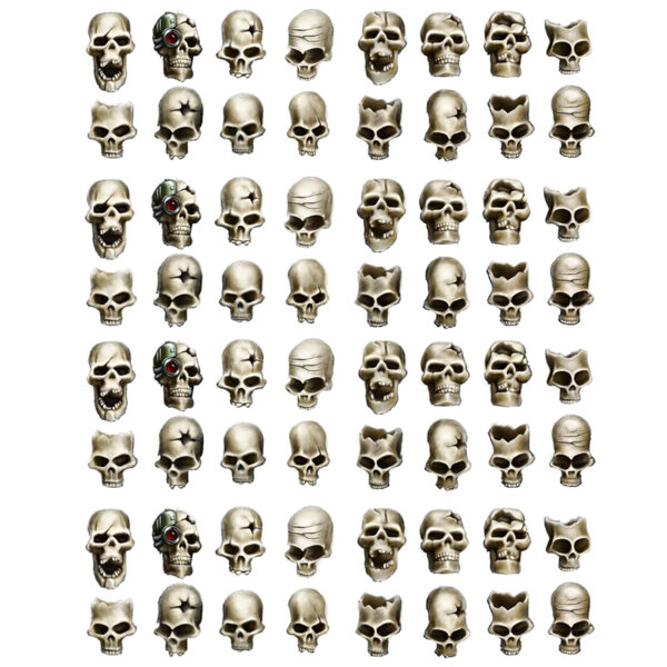 WE: Human Skulls (64)