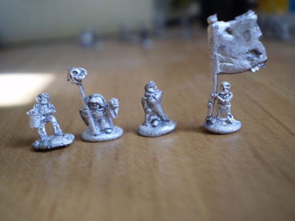 6mm: Skeleton Command x24