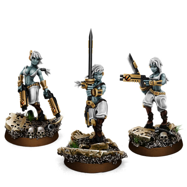 WE: Greater Good Tau Widows of Vengeance