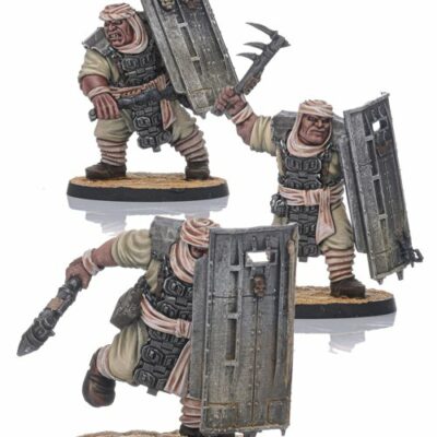 Shieldwolf Miniatures - Desertum Bulwark Ogres