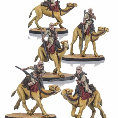 Shieldwolf Miniatures - Imperium Desertum Camelry