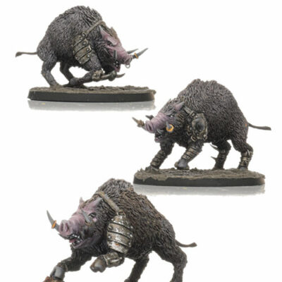 Shieldwolf Miniatures - Great Boar Pack