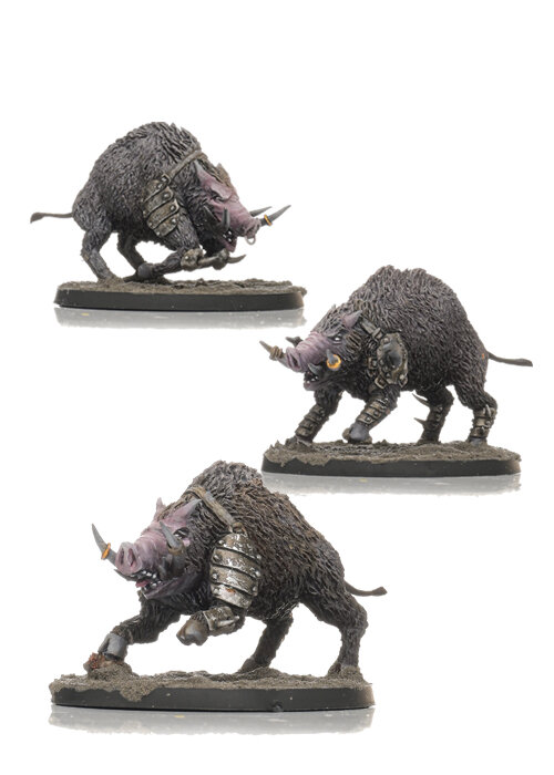 Great Boar Pack