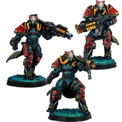 Combined Army: Rodoks, Armed Imposition Detachment