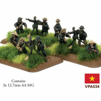 Vietnam: Local Forces Anti-Air Platoon