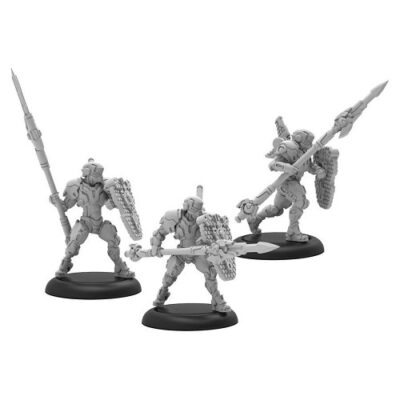 Warcaster: Iron Star Alliance - Paladin Defenders