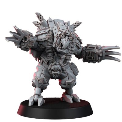 WE: Ork Rawen Boy