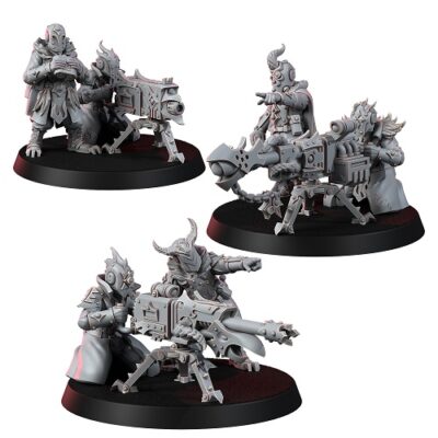 WE: Chaos Guardsman of Changed Way HWT