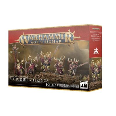 Warriors of Chaos: Putrid Blightkings