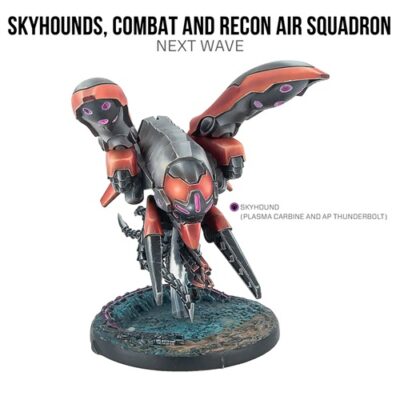 Combined Army: Skyhounds, Combat and Recon Air Squadron