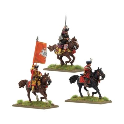 P&S: Polish-Lithuanian levy cavalry command